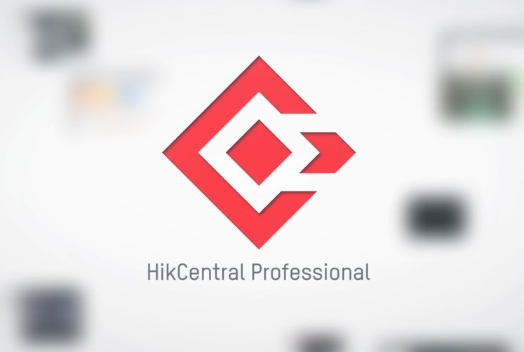 3. Hik-Central Profesional